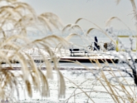 Around Sea 08
